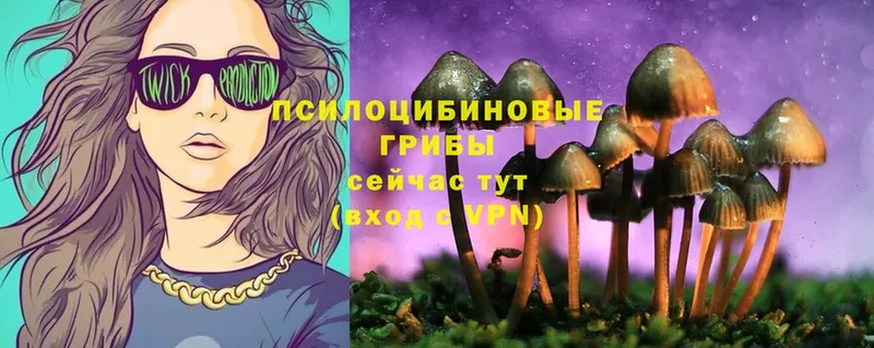 магазин  наркотиков  Улан-Удэ  Галлюциногенные грибы MAGIC MUSHROOMS 